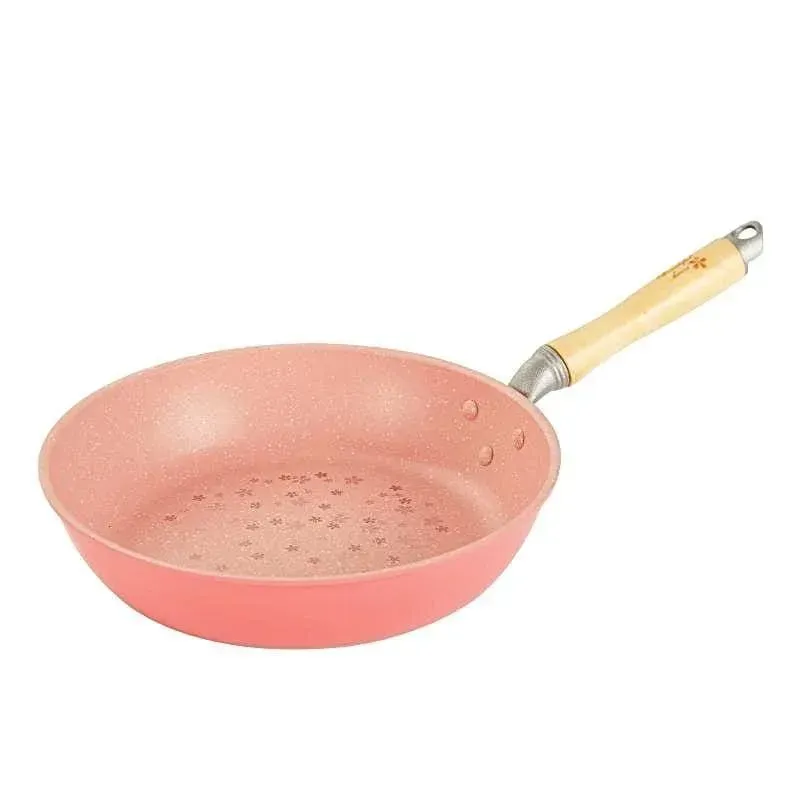 Japon style Frying Pan Ishikari poêle japonaise