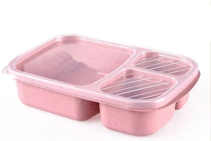 Japon style bento boîte lunch nomade pique-nique