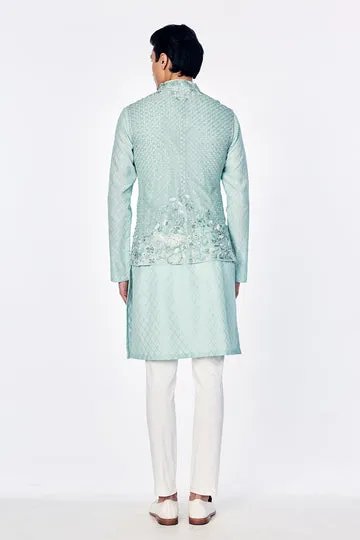 Rahul Mishra Zenith Silk Organza Bandi menthe brodée